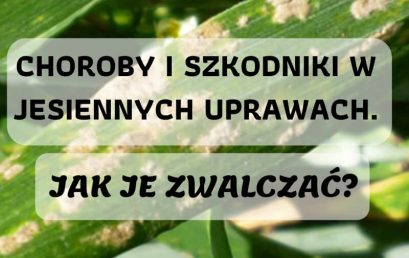 Zagrożenia ze strony chorób i szkodników