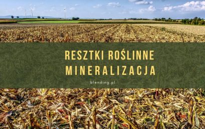 Resztki roślinne