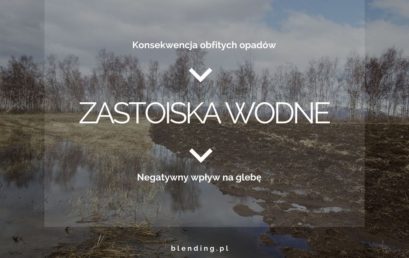 Zastoiska wodne