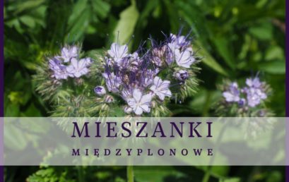 Międzyplony przynoszą korzyści