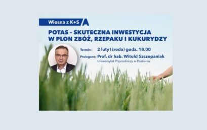 „Wiosna z K+S”