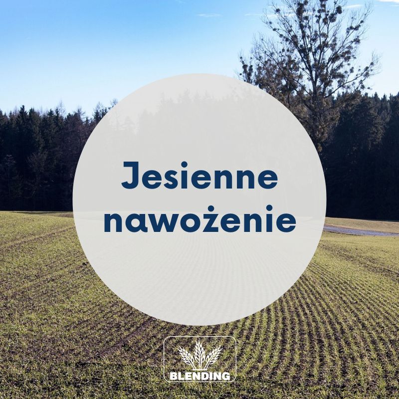 Jesienne nawożenie