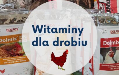 Witaminy