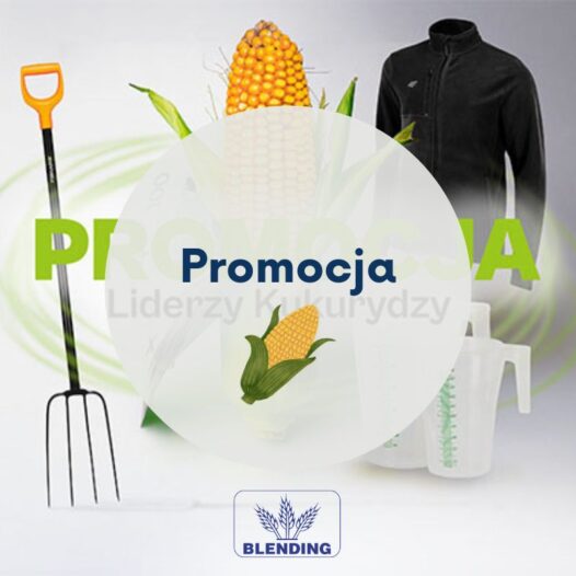 Promocja!